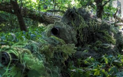 A bit about camouflage